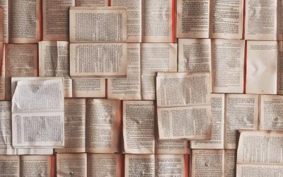 PPC Novinky – Září 2020